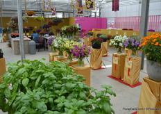 Alle noviteiten bij PanAmerican - we hebben ze niet geteld maar het waren er tientallen - werden gepresenteerd als standbeelden op gouden sokkels.